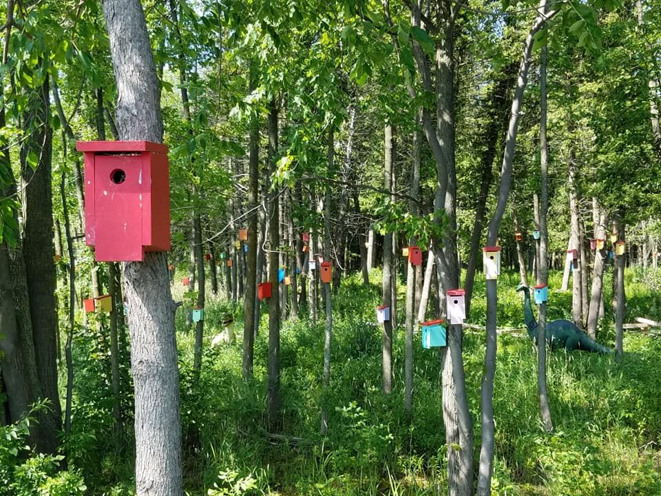 Birdhouse Forest, South Hero